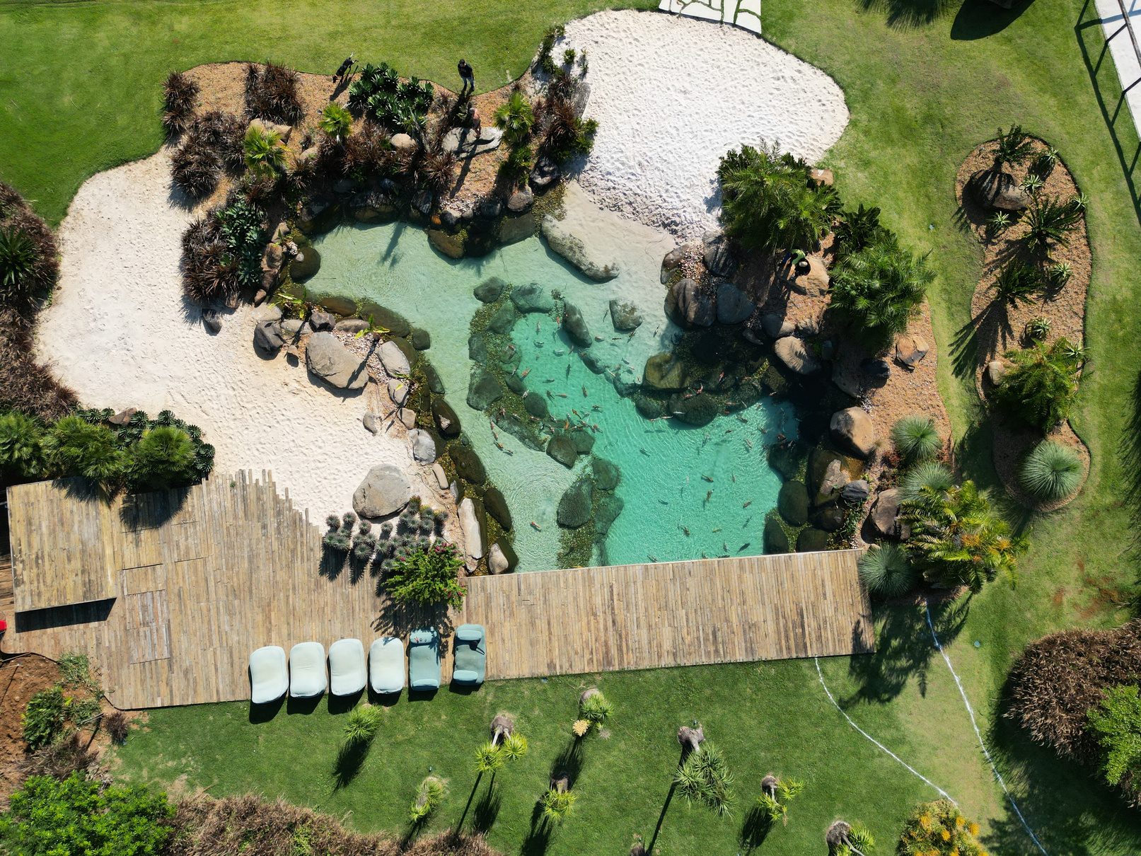Aerial view of an organic-shaped lagoon