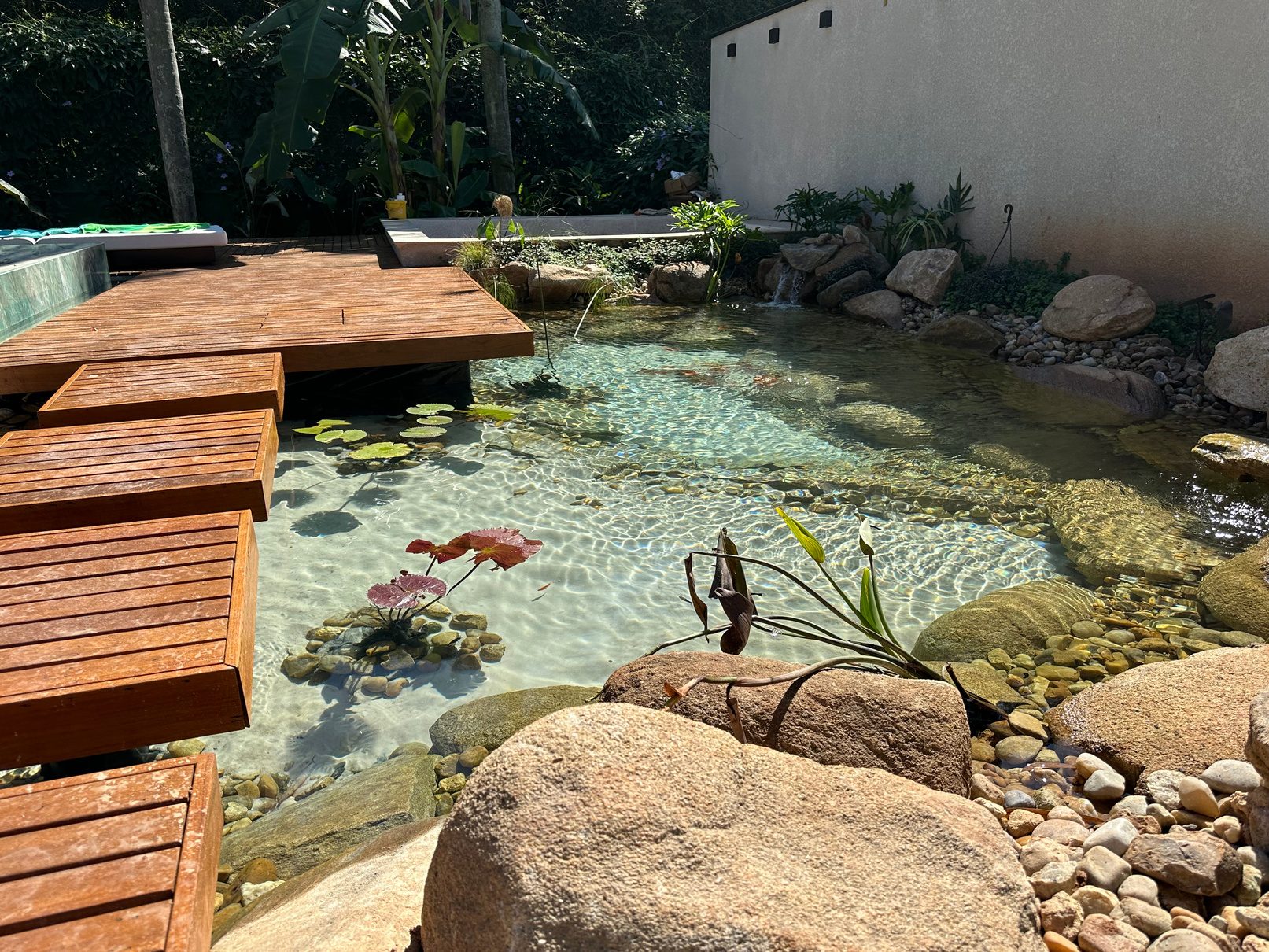 Timber deck over a natural lagoon