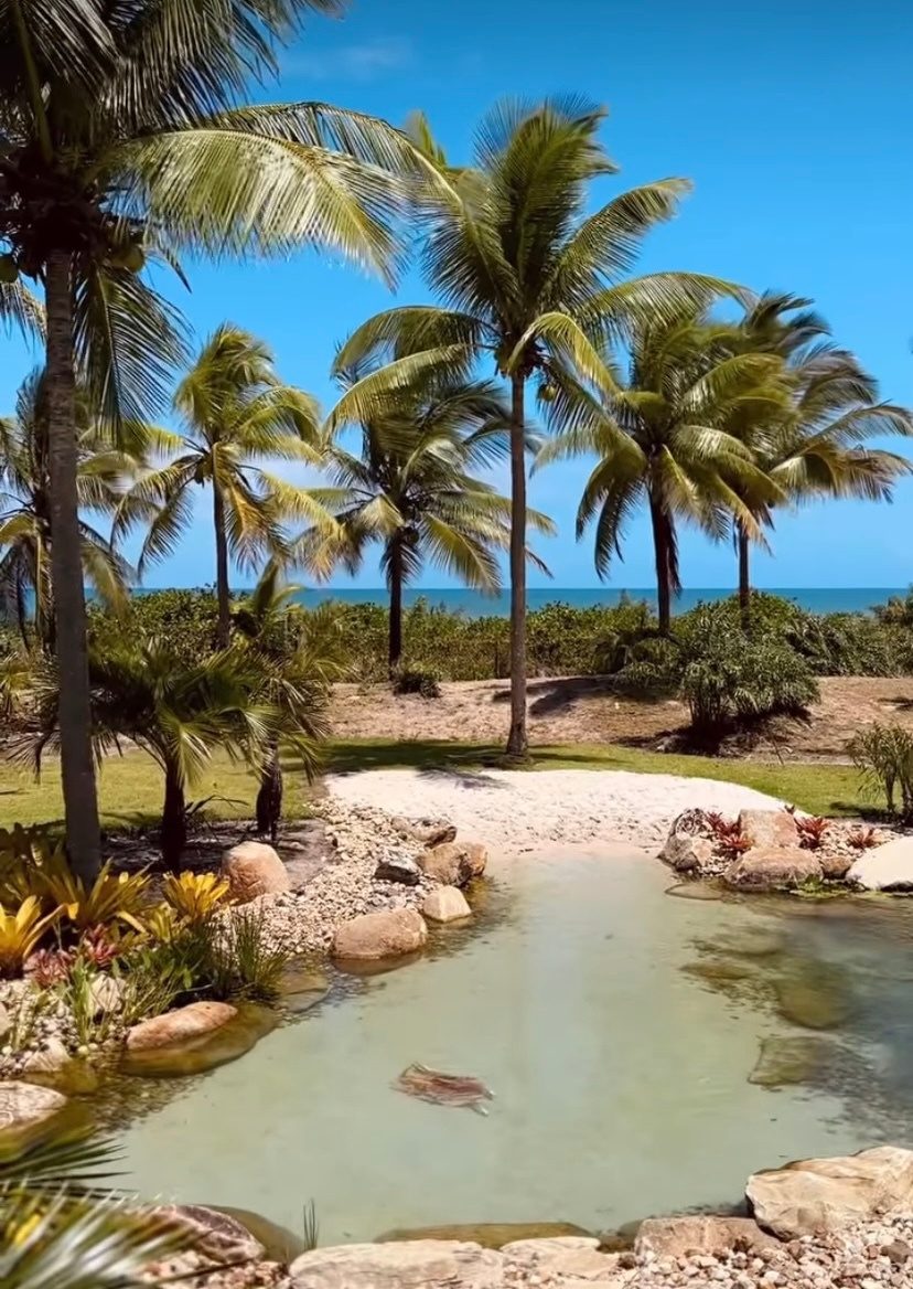 Beachfront lagoon lined with palms