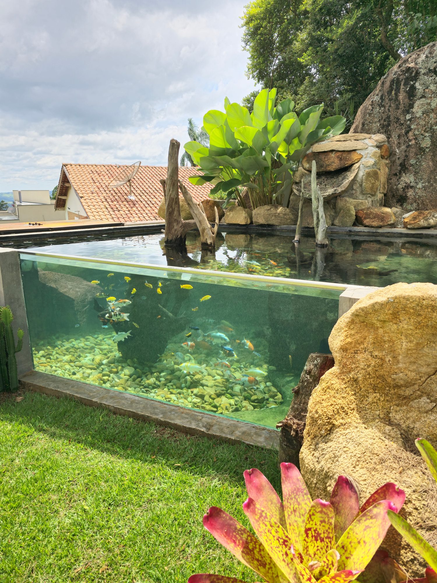 Glass-walled viewing panel into the lagoon
