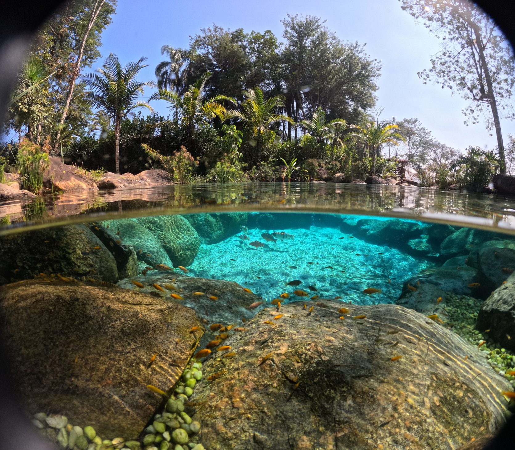 Split-level view of a natural lagoon with granite boulders and turquoise water